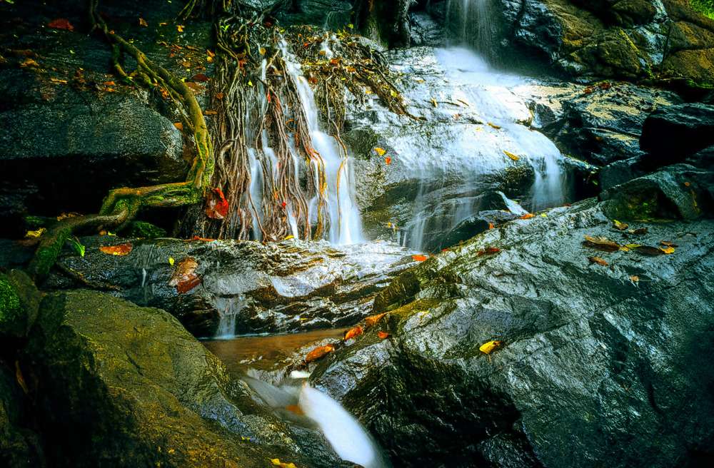 Yercaud Tour Package from Chennai Image