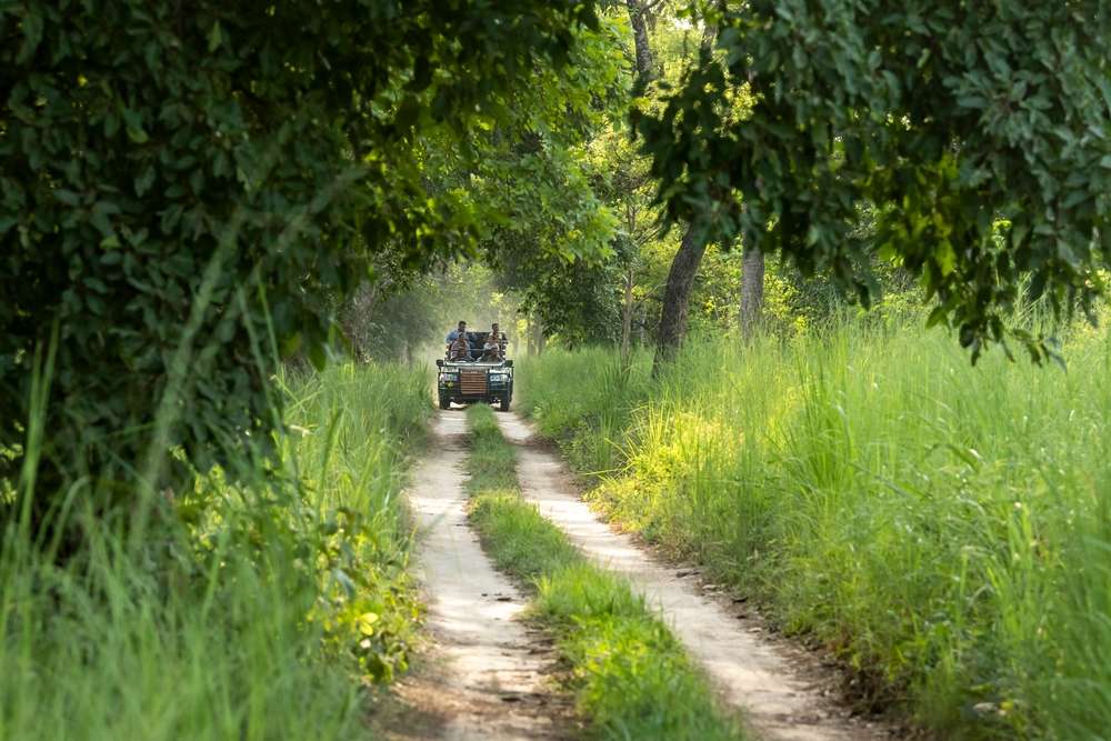 Gavi Jeep Safari from Thekkady Image