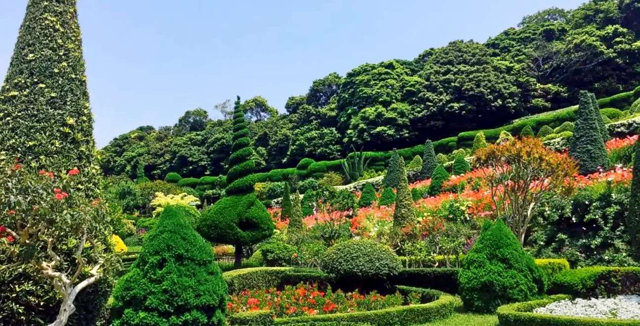 Special Oedo Island Day Tour from Busan Image