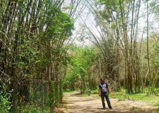 Pushpagiri Wildlife Sanctuary Safari Image