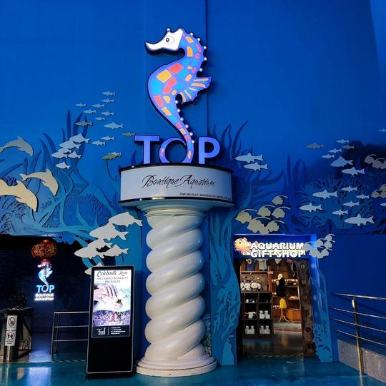 The Top Rainbow Skywalk Tickets Image