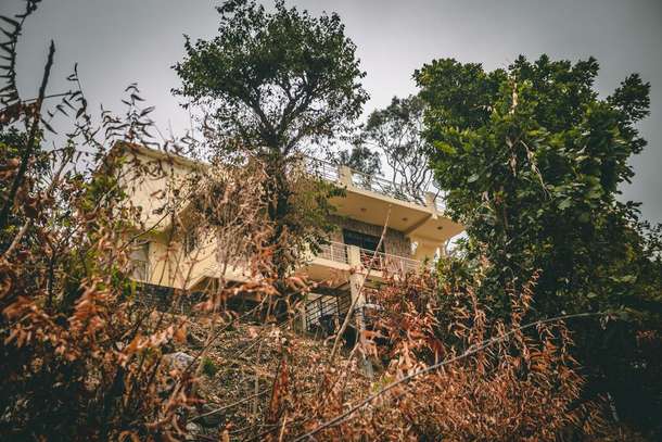 Iuo6a56fprla43em0pupq8z1iyv5 285886131