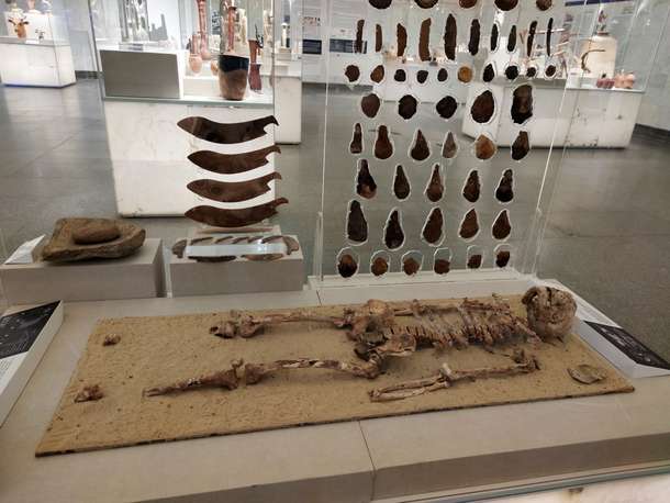 Iv14gq0qtq6k6p5i51ptj18faqk5 shutterstock 2002844231