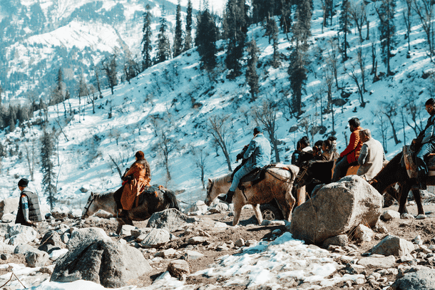 Ivrhmw7qar01o8df15v2serp8aps wtoshgofezxvmtqu8sh8y69zeizy shutterstock 1950543694