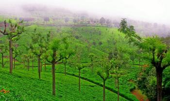 Iw0jyg0mos8x3he0oytw7goigl7f 1554294579 conoor.jpg