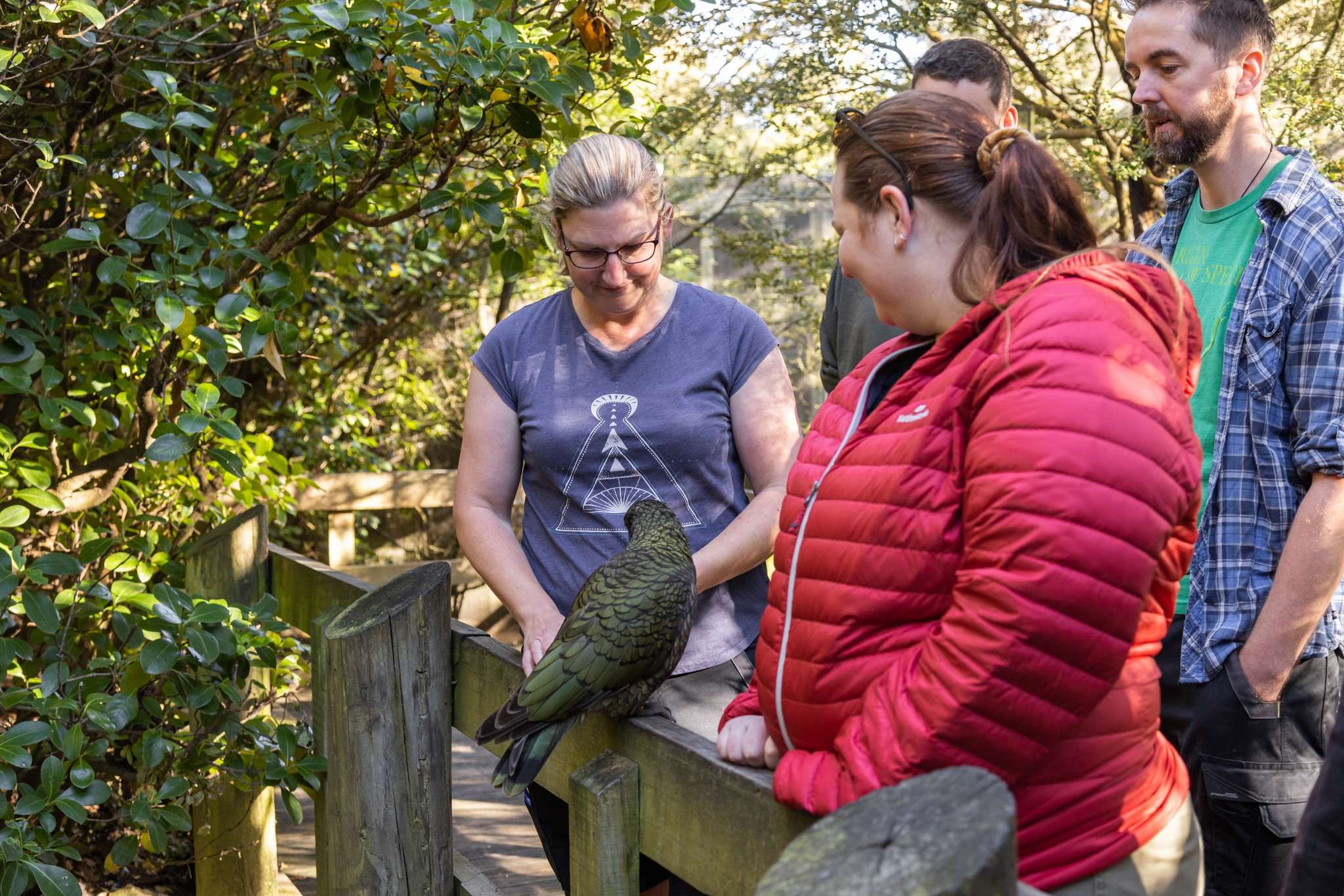 Orana Wildlife Park Tickets, New Zealand