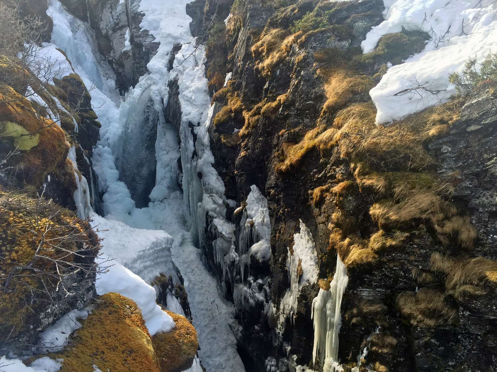 Northern Lights Holiday Package Sweden Image