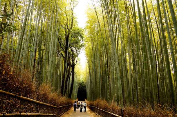 Ixucxdvlm90tymojxwhz9nybpulq downpic.cc image217015005%20(1)