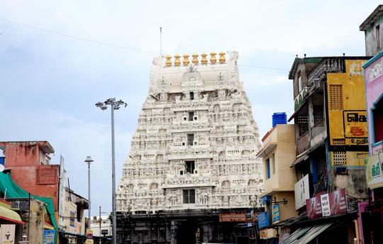 One Day Trip from Chennai to Kanchipuram Image