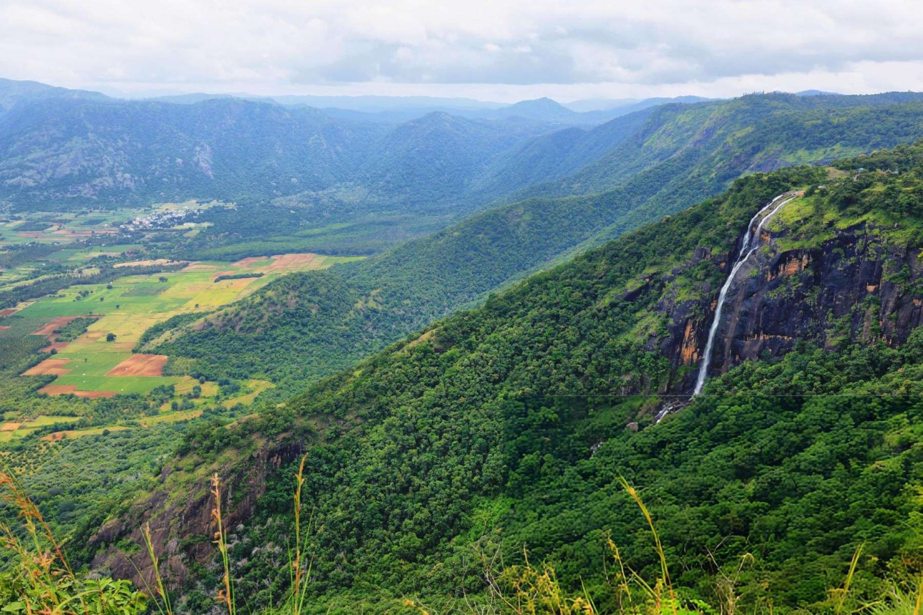 Jeep Ride in Thekkady with Visit to Grape Vineyard Image