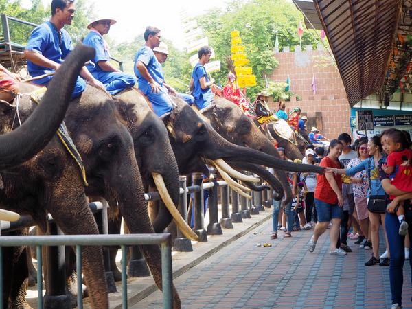 Samphran Elephant Ground and Zoo
