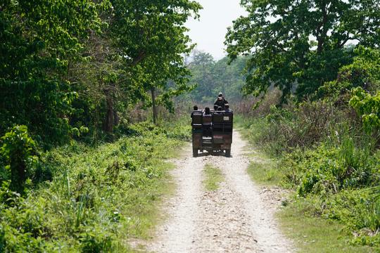 Jeep Drive To Mallalli Water Falls Image