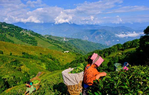 J1p6dqch7zglgx94exv2gb23j1yn dl.beatsnoop.com final oztg8qx729