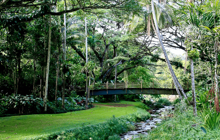 McBryde & Allerton Garden