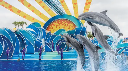 SeaWorld San Diego Tickets Image