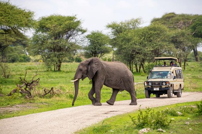Tarangire National Park