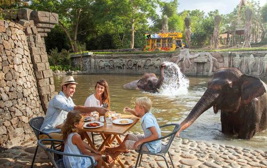 Breakfast With Orangutans at Bali Zoo Image
