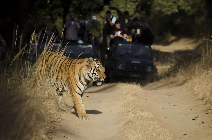 Nainital and Jim Corbett Tour from Delhi