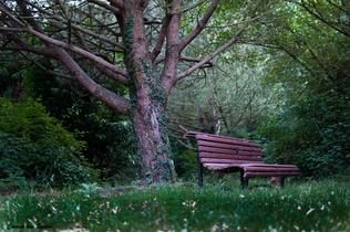 J4ehmgpq2bkdoktotcwkysoge8u4 parque%20da%20cidade%20do%20porto3