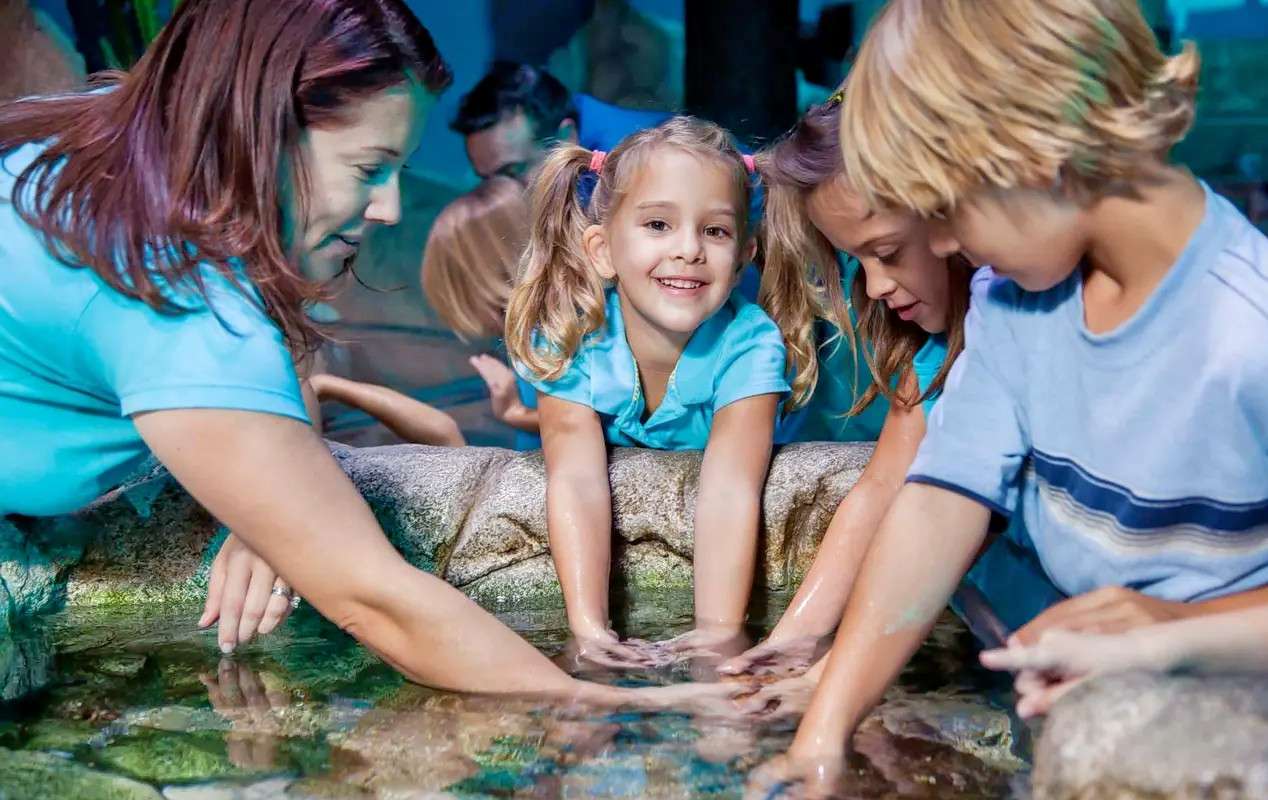 Sea Life Manchester Tickets Image