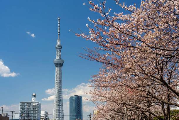 J6ydix8k0j8tsmgfxfbzzbmq8ti9 tokyo%20skytree gallery