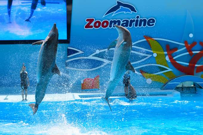 Unwind at Portugal's best water park with your loved ones