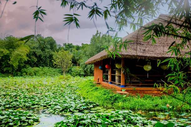 J7zgclczz6xjrwxu08mi18isq4p8 bhvgft678