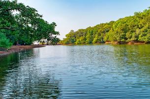 J8sn3pw91djaar6g96sqlyc228eb 1588421340 ssm1