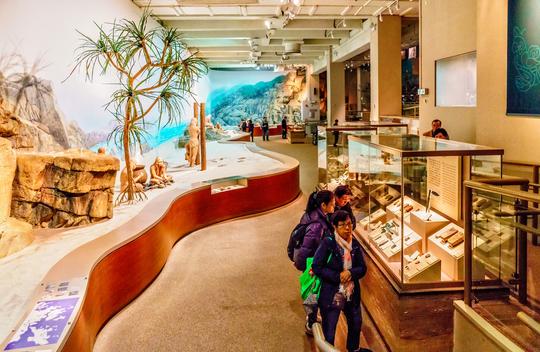 Museum of History Tour Image