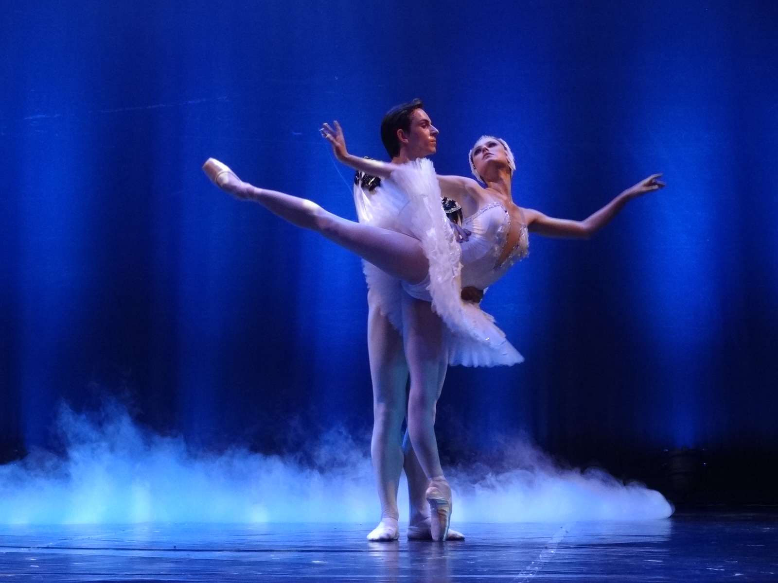 The Best of Swan Lake Hybernia Theater Prague Image