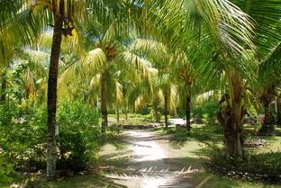 Jao3spibkcrxdy49ntegf4w5dag7 1615875992 shutterstock 1148668766