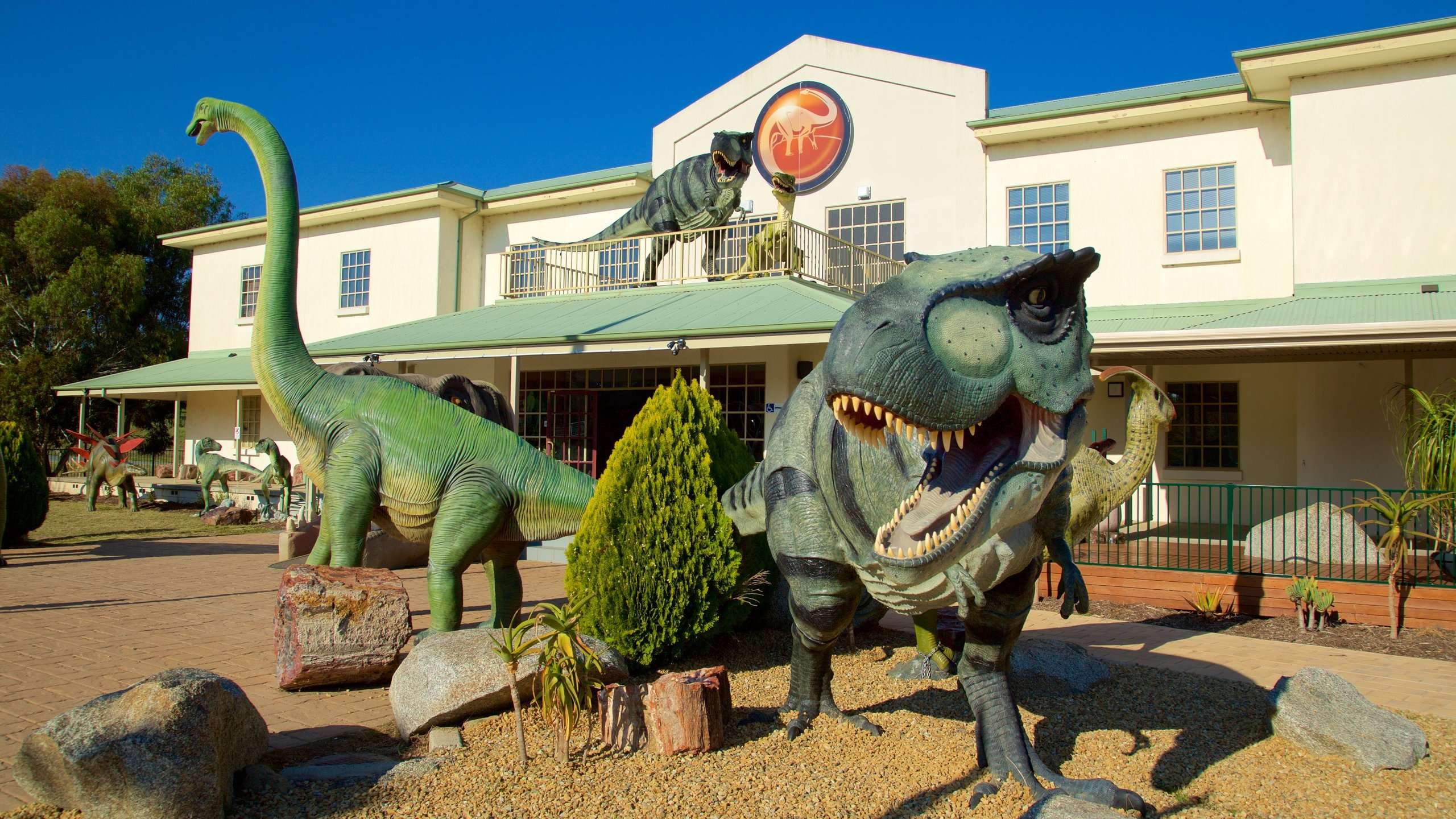 Welcome to the National Dinosaur Museum