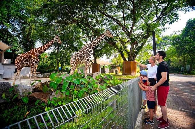 Explore the beauty of wildlife at Negara Zoo