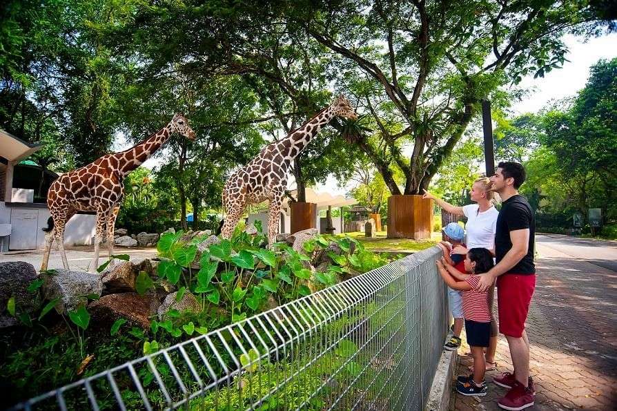 Zoo Negara Tickets Image