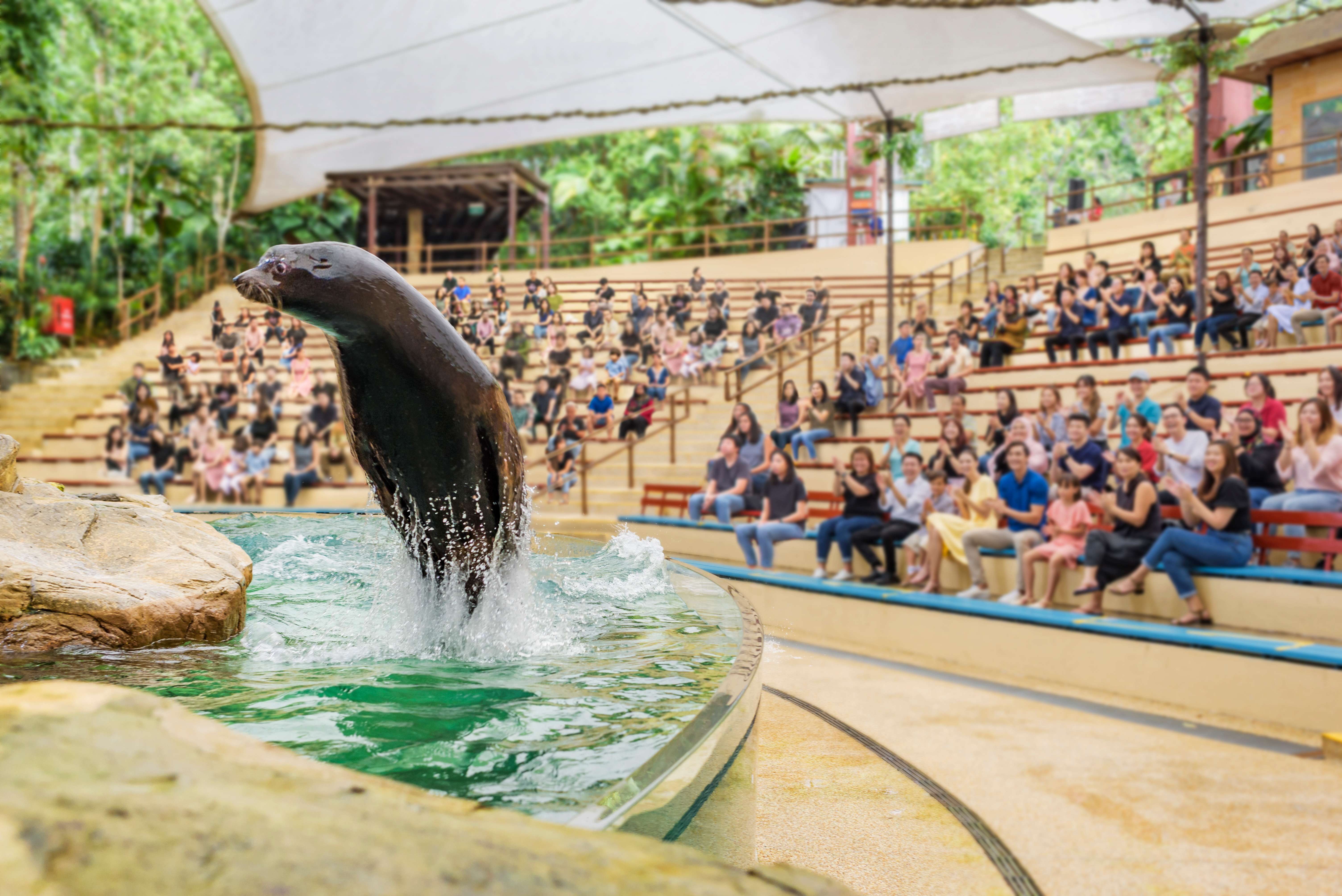 Splash Safari at the Singapore Zoo