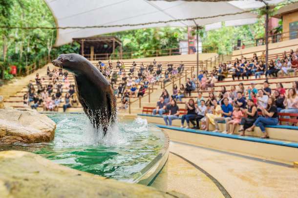 Splash Safari at the Singapore Zoo