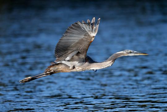 Black Canyon Kayaking in Las Vegas Image