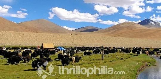 Rumtse To Kiber Trek Image