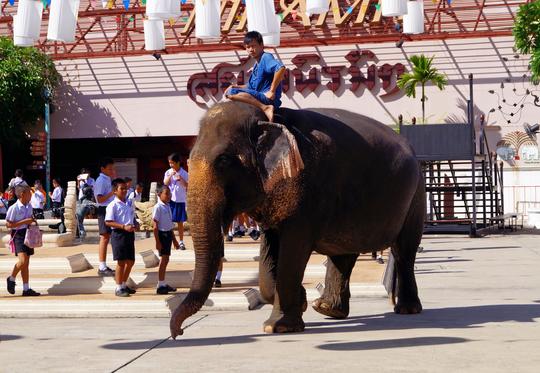 Siam Niramit Show Phuket Tickets Image