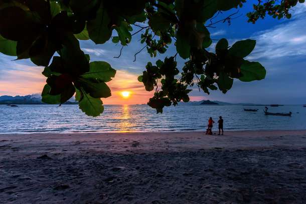 Jfrjwfb3tvr8u82h65frdrgmnznn shutterstock 1090187915%20(1)