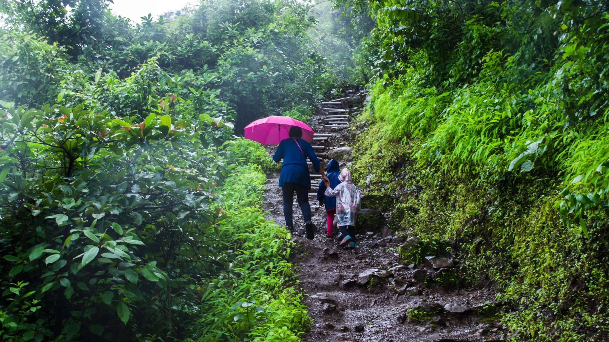 Tikona Fort Trek Image