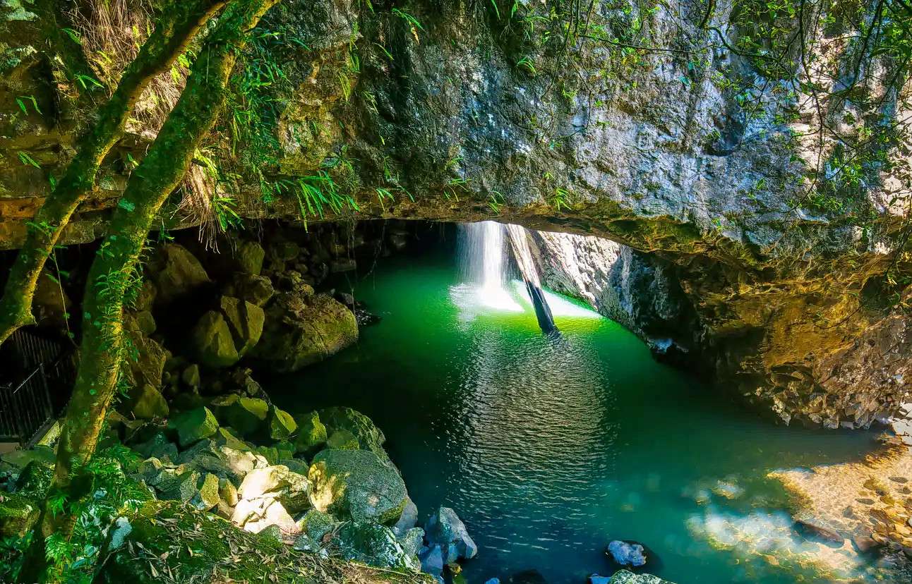 Natural Bridge and Springbrook Cascades
