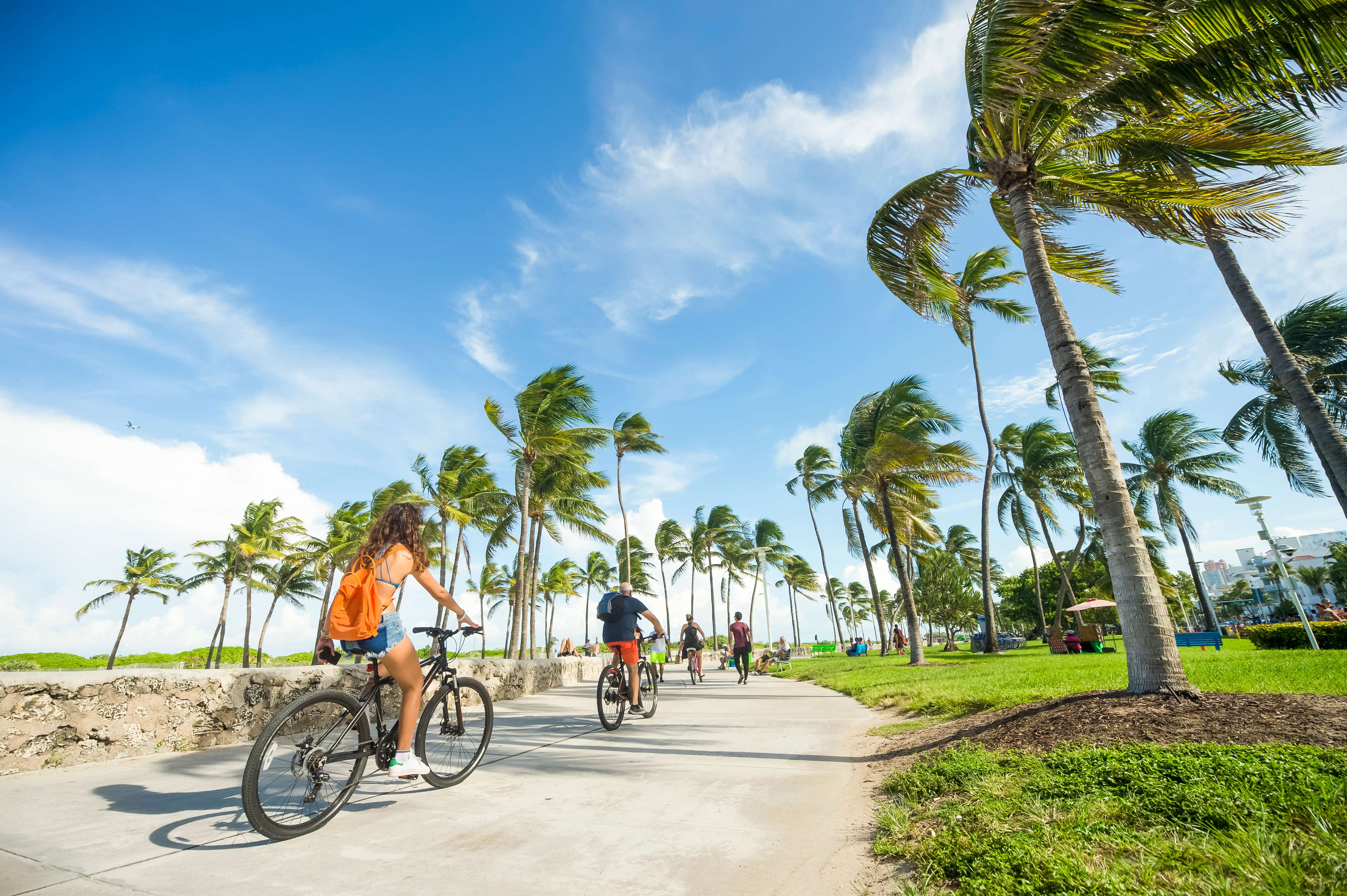 Witness the astonishing beauty of Miami in this bike tour