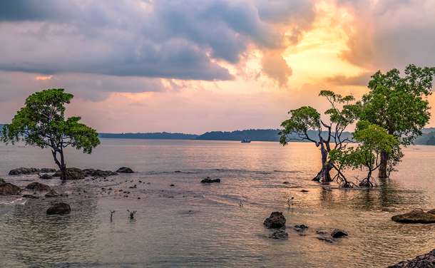 Day Excursion Chidiya Tapu