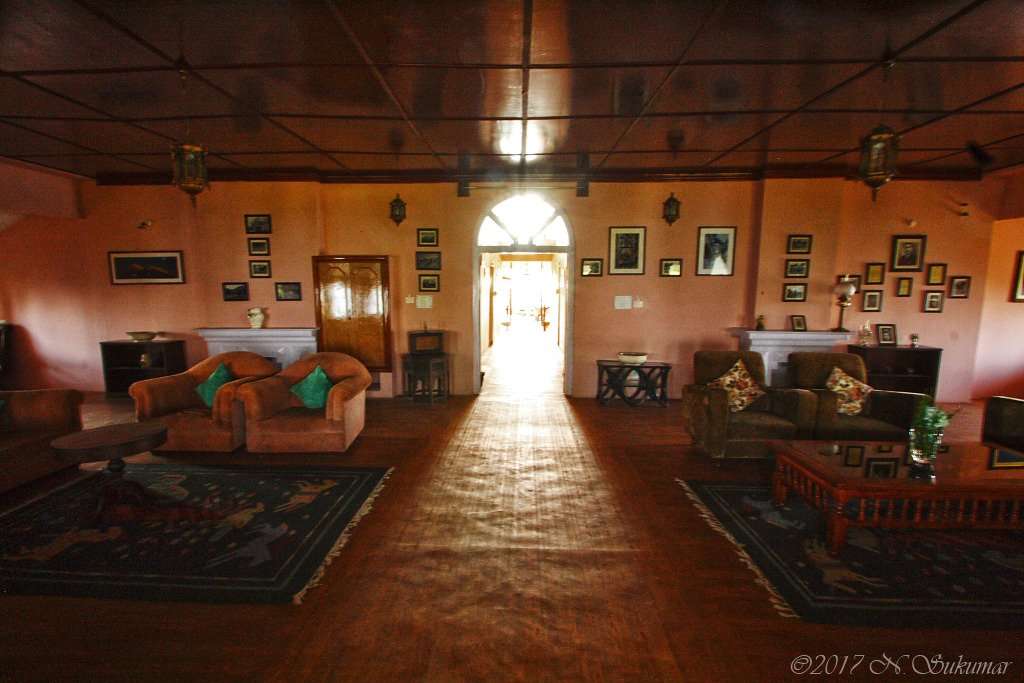 Tree of Life Binsar Image