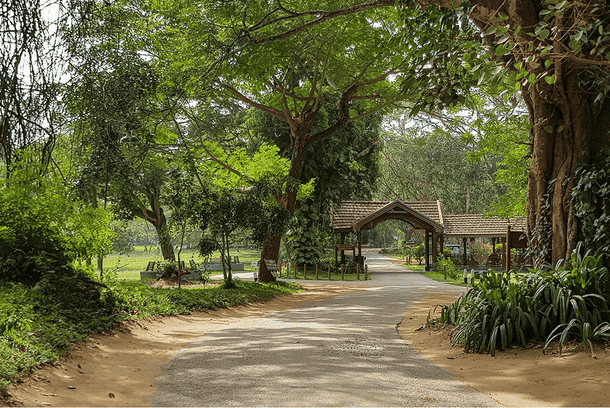 Jioz1em2rfwnfgrzh2k4d76vypsm kabini3