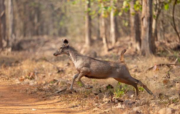 Jj57eljl0lz786u05old7bqxybqo dl.beatsnoop.com 3000 fiseisuxr8