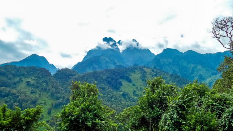 The Rwenzori Mountains National Park