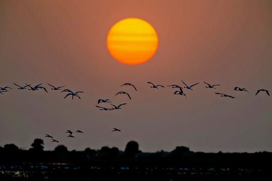 4 Days Tour To Rann Of Kutch Image