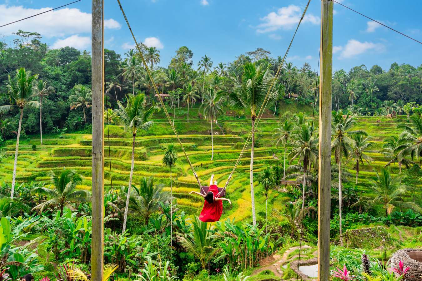 Tourist enjoying the Bali swing at tegalalang rice terrace